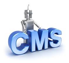 Custom CMS Development Services in Bhubaneswar Odisha - Climax Infotech